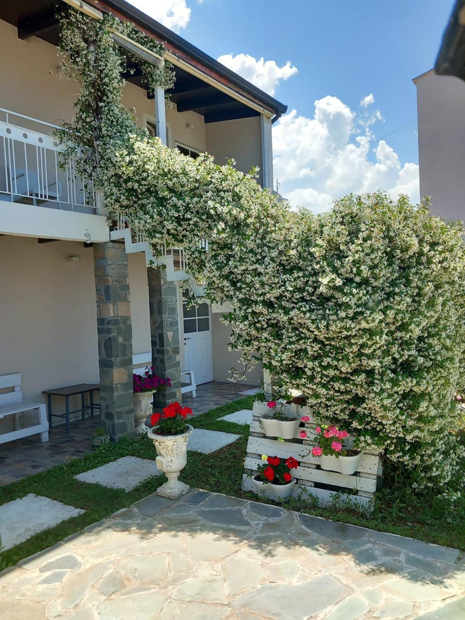 Nili Hotel Vlorë Eksteriør billede