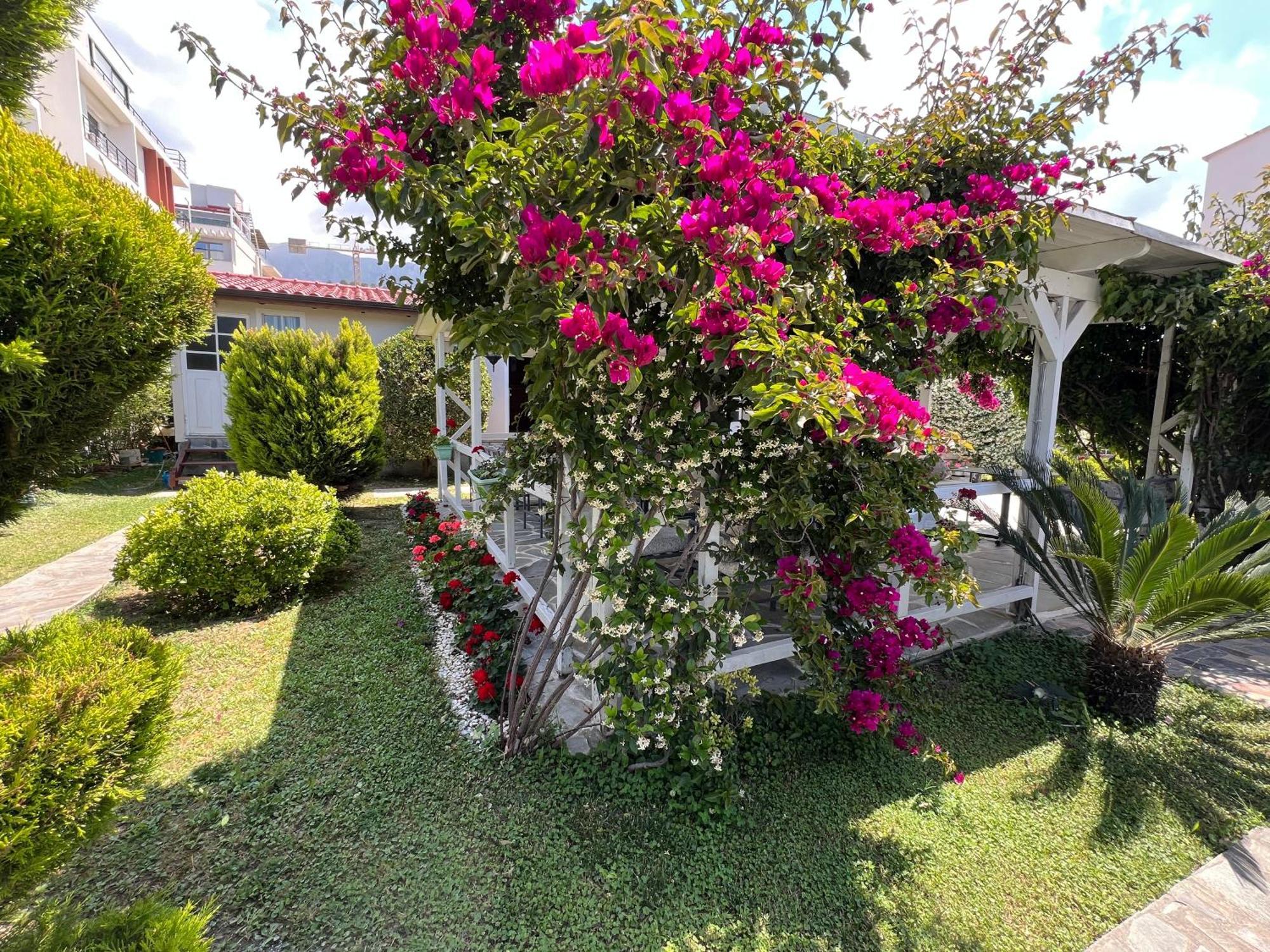 Nili Hotel Vlorë Eksteriør billede